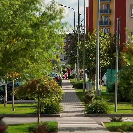 Апартаменти Ioana House